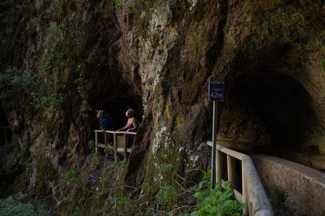 Visit La Palma Guided trekking tour Springs Marcos y Cordero in Santa Cruz de la Palma