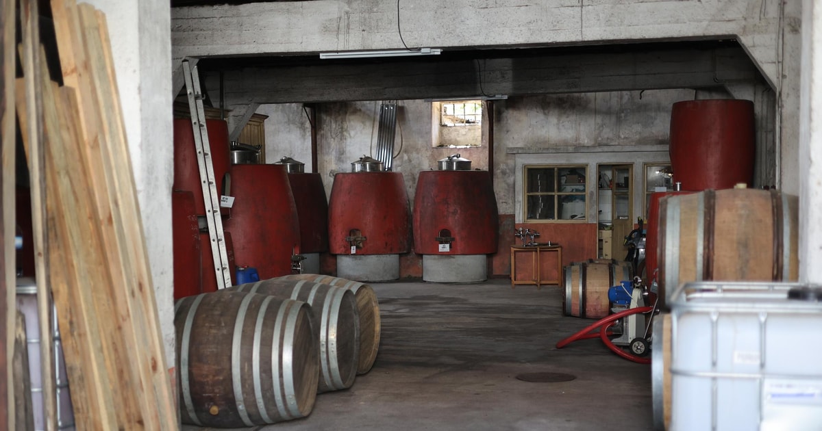 Portugal Dao Winery Tour, Barrel Tasting and Wine Tasting GetYourGuide