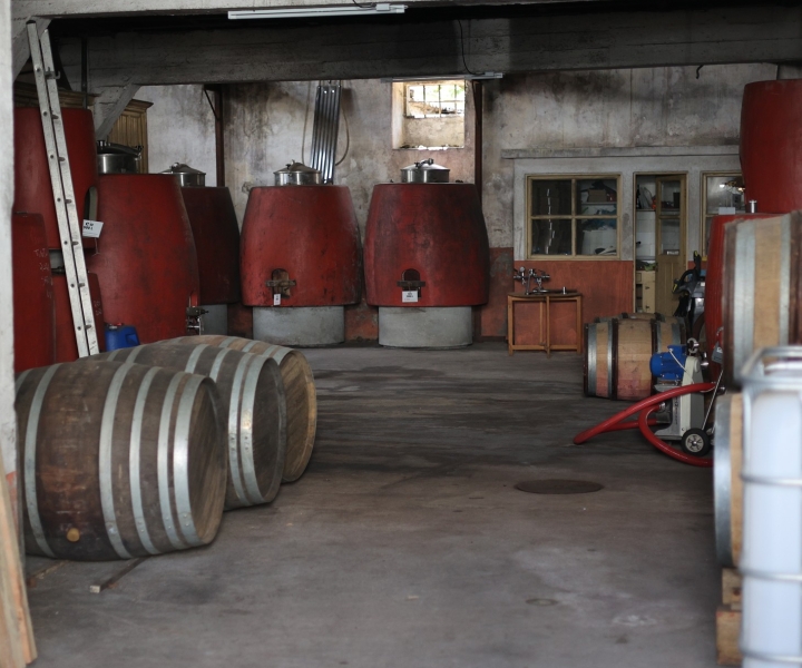 Portugal: Dao Winery Tour, Barrel Tasting and Wine Tasting