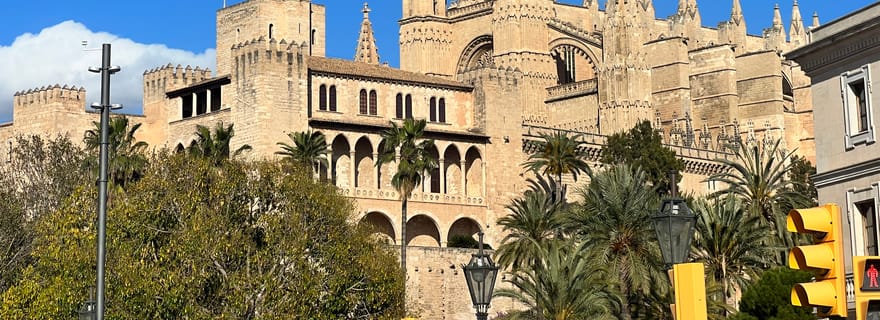 Les points forts de la visite de Palmas en privé et en exclusivité