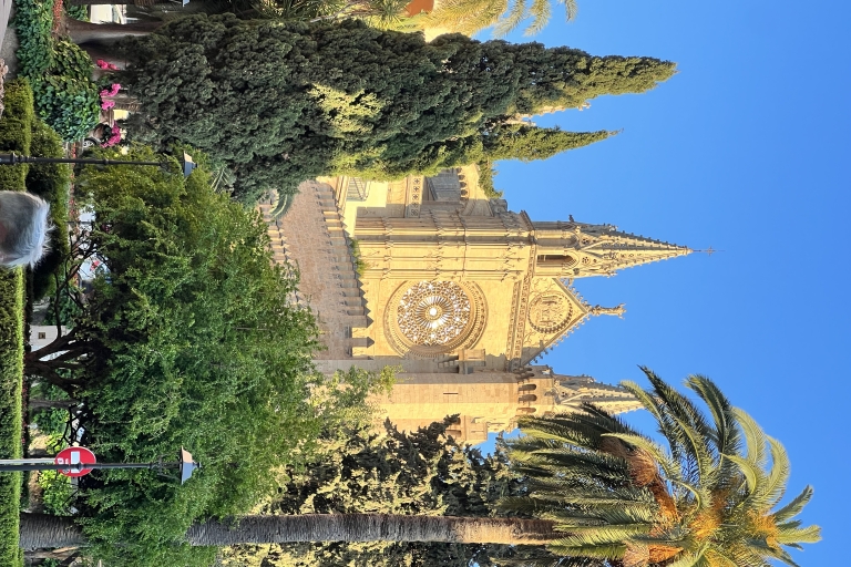Palma: visite guidée à pied avec un auteur local