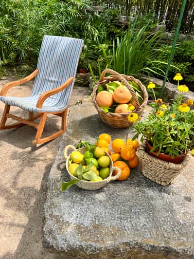 Mallorca Flavours Tour: Oranges, olive oil and wine