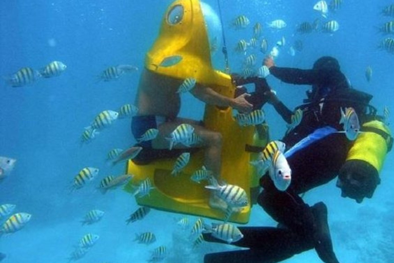 Punta Cana: Scoba Doo Discover the Underwater Wonders