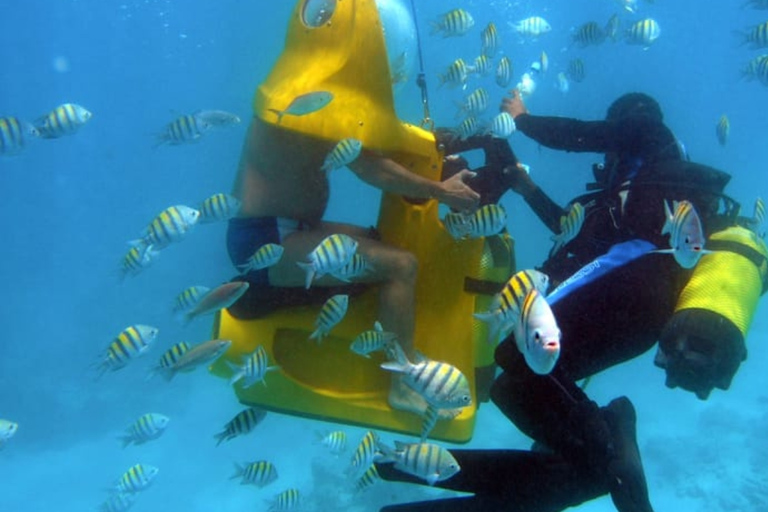 Punta Cana: Scoba Doo Discover the Underwater Wonders