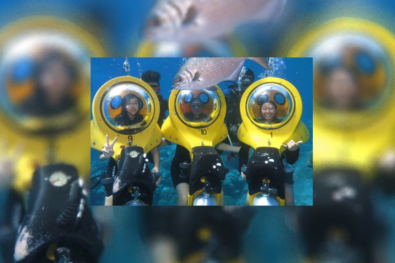Punta Cana: Scoba Doo Discover the Underwater Wonders