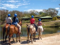 De Guanacaste, tournée combo - Housity
