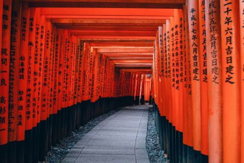 Vanuit Osaka/Kyoto: privédagtrip naar Kyoto en Nara met ophalen