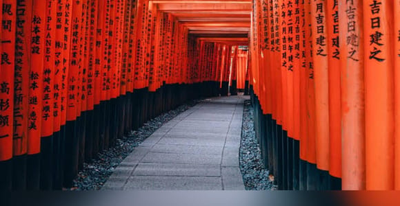 Von Osaka/Kyoto: Private Kyoto & Nara Tagestour mit Abholung