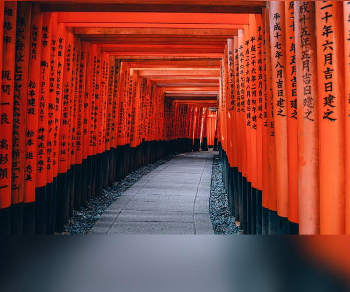 From Osaka/Kyoto: Private Kyoto & Nara Day Trip with Pickup
