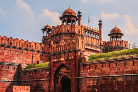 Visita guiada privada a la Ciudad Vieja de Delhi