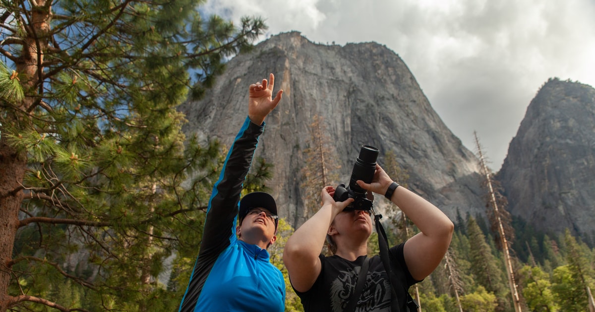 Guided Yosemite Valley Hiking Tour Getyourguide