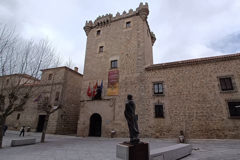 Ávila: Tour privado por Murallas y Casco Histórico