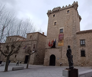Ávila: Tour privado por Murallas y Casco Histórico
