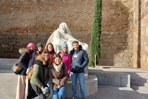 Ávila: Tour privado por Murallas y Casco Histórico