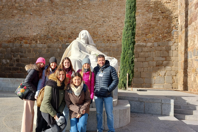Ávila: Tour privado por Murallas y Casco Histórico