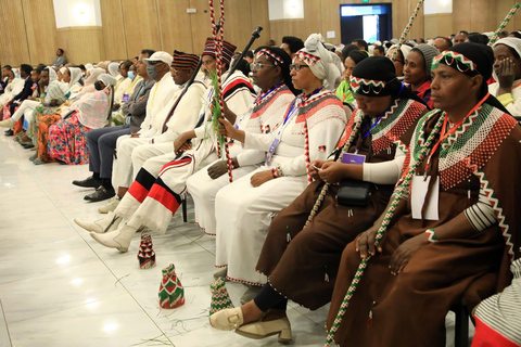 Addis Ababa: VIP Nightlife & Cultural Music Tour with Guide