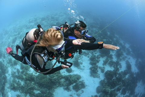 curso de submarinismo padi en Dubai