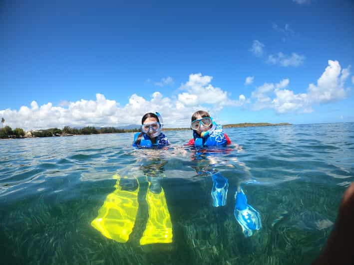 Snorkeling Lessons & Interactive Experience with snacks | GetYourGuide