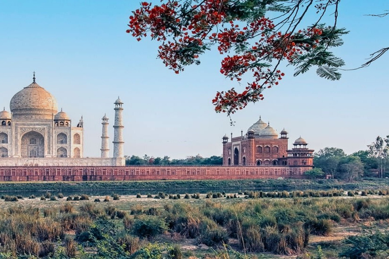 Agra: Prywatna wycieczka tuk-tukiem do Taj Mahal-Agra fort-MehtabBaghSamochód + Przewodnik + Zabytki Bilety