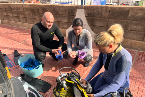 Curso de buceo para principiantes en el parque natural de TenerifeCurso privado de buceo para principiantes en el parque natural de Tenerife