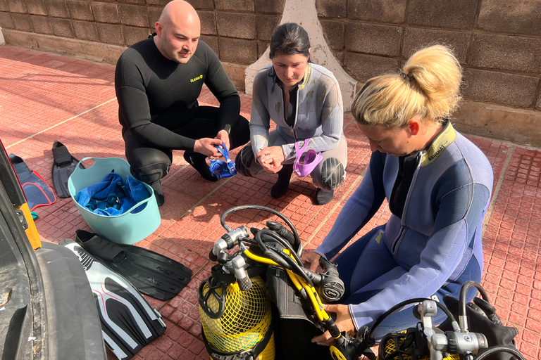 Curso de buceo para principiantes en el parque natural de TenerifeCurso privado de buceo para principiantes en el parque natural de Tenerife