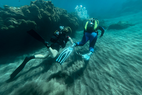 Curso de buceo para principiantes en el parque natural de TenerifeCurso privado de buceo para principiantes en el parque natural de Tenerife