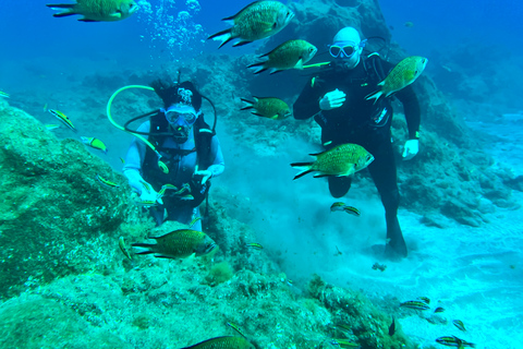 Curso de mergulho para iniciantes na área das tartarugas em TenerifeCurso de mergulho privado para iniciantes no parque natural de Tenerife