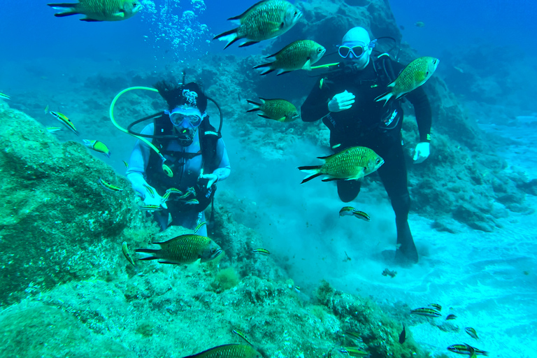 Curso de mergulho para iniciantes na área das tartarugas em TenerifeCurso de mergulho privado para iniciantes no parque natural de Tenerife