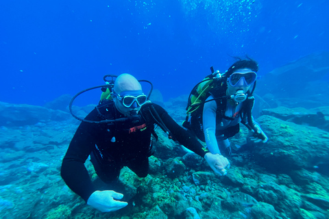 Curso de mergulho para iniciantes na área das tartarugas em TenerifeCurso de mergulho privado para iniciantes no parque natural de Tenerife