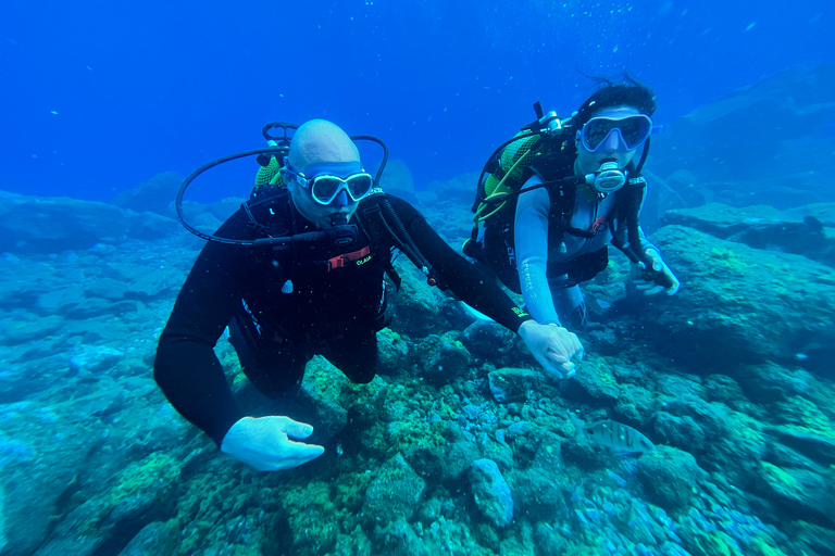 Curso de mergulho para iniciantes na área das tartarugas em TenerifeCurso de mergulho privado para iniciantes no parque natural de Tenerife