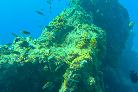 Curso de buceo para principiantes en el parque natural de TenerifeCurso privado de buceo para principiantes en el parque natural de Tenerife