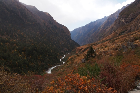 Trek dans la vallée du Langtang