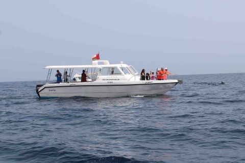 Mascate : Observation des dauphins et plongée en apnée en bateau rapide