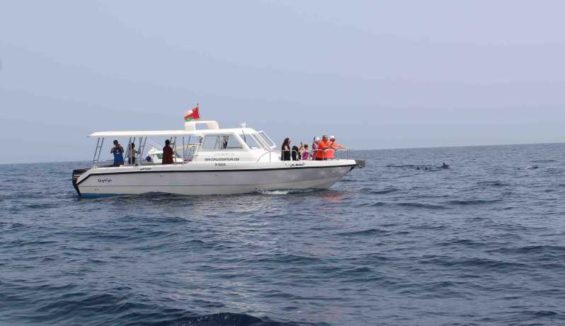 Muscat: Delfinbeobachtung und Schnorcheltour mit dem Schnellboot
