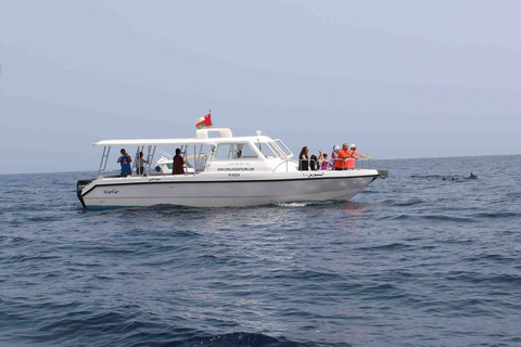 Mascate : Observation des dauphins et plongée en apnée en bateau rapideMuscat : Location de bateaux de luxe