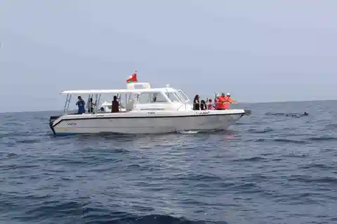 Muscat: tour di avvistamento dei delfini e snorkeling in barca