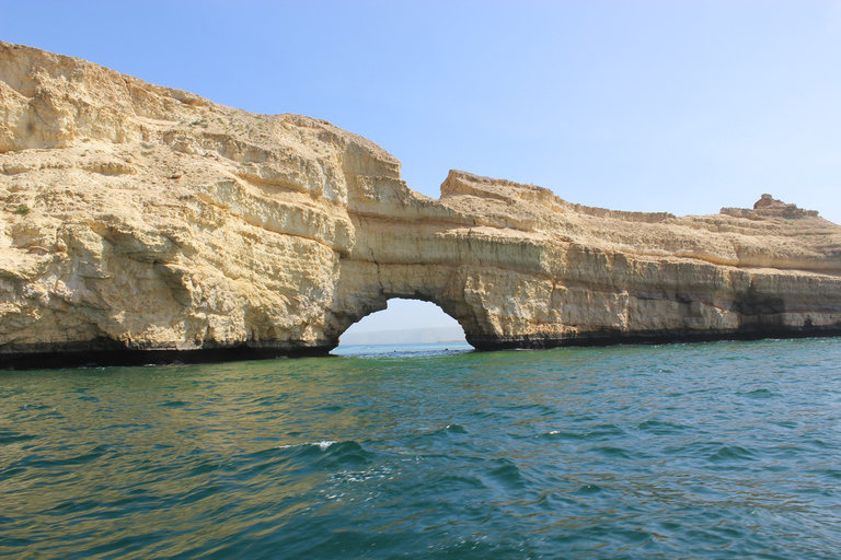 Muscat: dolfijnen spotten en snorkelen per speedbootMuscat: luxe jachtcharter