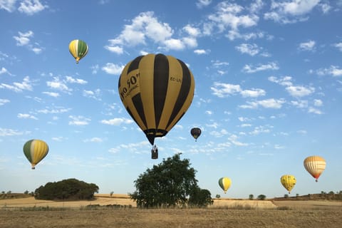 Marrakesh: Early Morning 40-Minute Balloon Flight