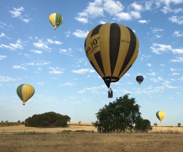 マラケシュ：早朝の 40 分間の気球飛行