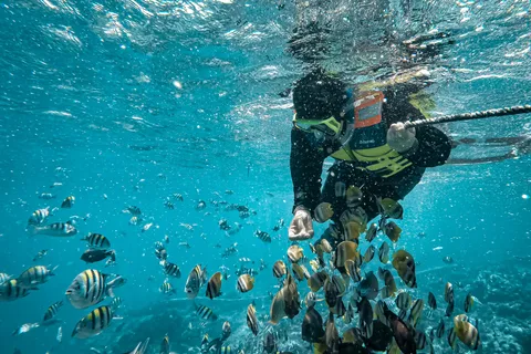 Excursion quotidienne de plongée en apnée sur les îles cachées de Gili's Lombok