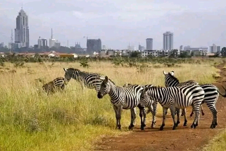 Visite à pied gratuite de la ville de Nairobi.