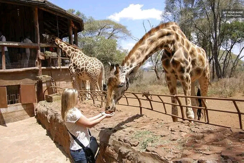 Visite à pied gratuite de la ville de Nairobi.