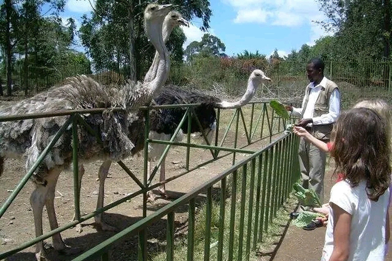 Visite à pied gratuite de la ville de Nairobi.