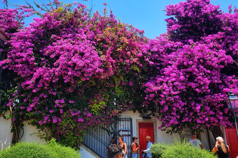 Lisbonne : Visite de la vieille ville en tuk tuk