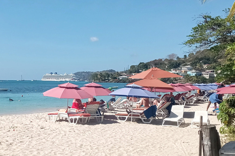 Shared Tour: Annandale Waterfall, Fort & Beach Escape