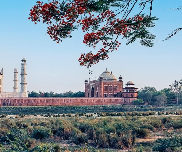 Agra: Taj Mahal entry ticket ( Skip-the-line )
