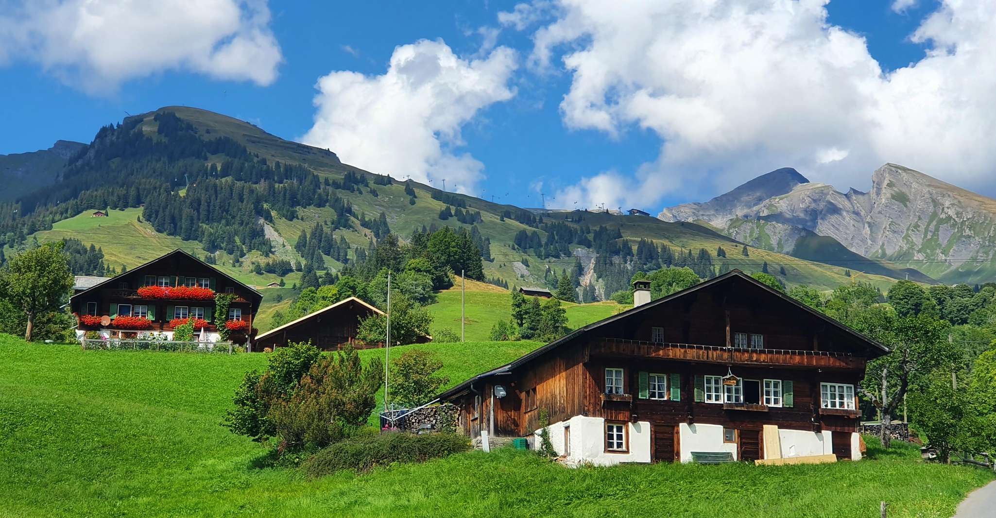 Grindelwald First, Cable Car Ticket mit Cliff Walk - Hizvo