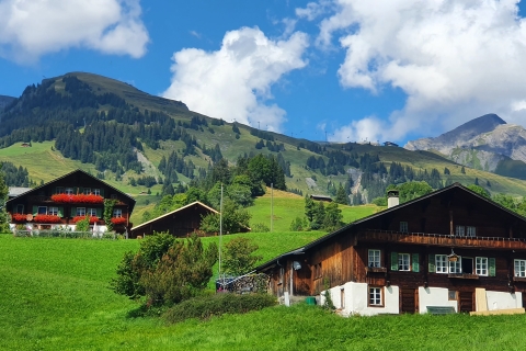 Grindelwald First (Top of Adventure)-ticket incl. Cliff wandeling