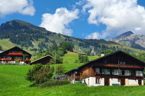 Grindelwald Prima: Biglietto per la funivia con passeggiata sulla scoglieraGrindelwald First: biglietto della funivia con Cliff Walk