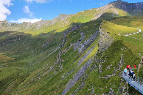 Grindelwald First (Top of Adventure)-ticket incl. Cliff wandeling